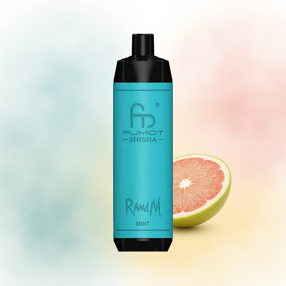 RandM Fumot Shisha 10000 Puffs 18ml Prefilled Mėta Wholesale Lithuania