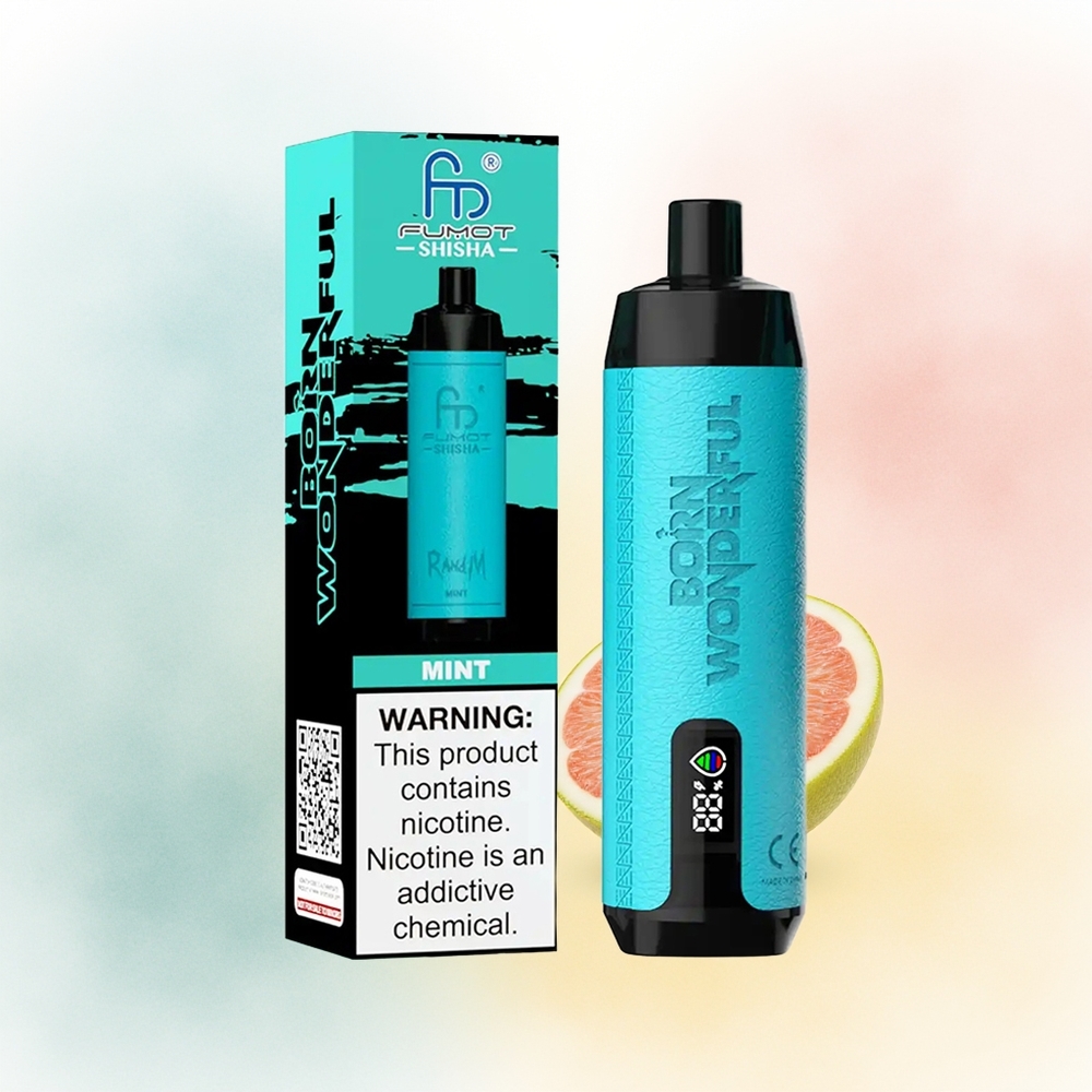 RandM Fumot Shisha 10000 Puffs 18ml Prefilled Mėta Wholesale Lithuania