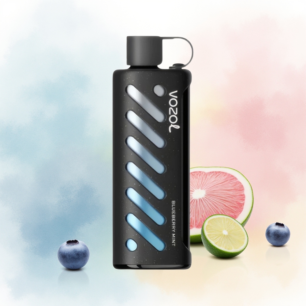 VOZOL Gear Shisha 25000 Puffs Dual Mesh Mėlynų Uogų Mėta Wholesale Lithuania