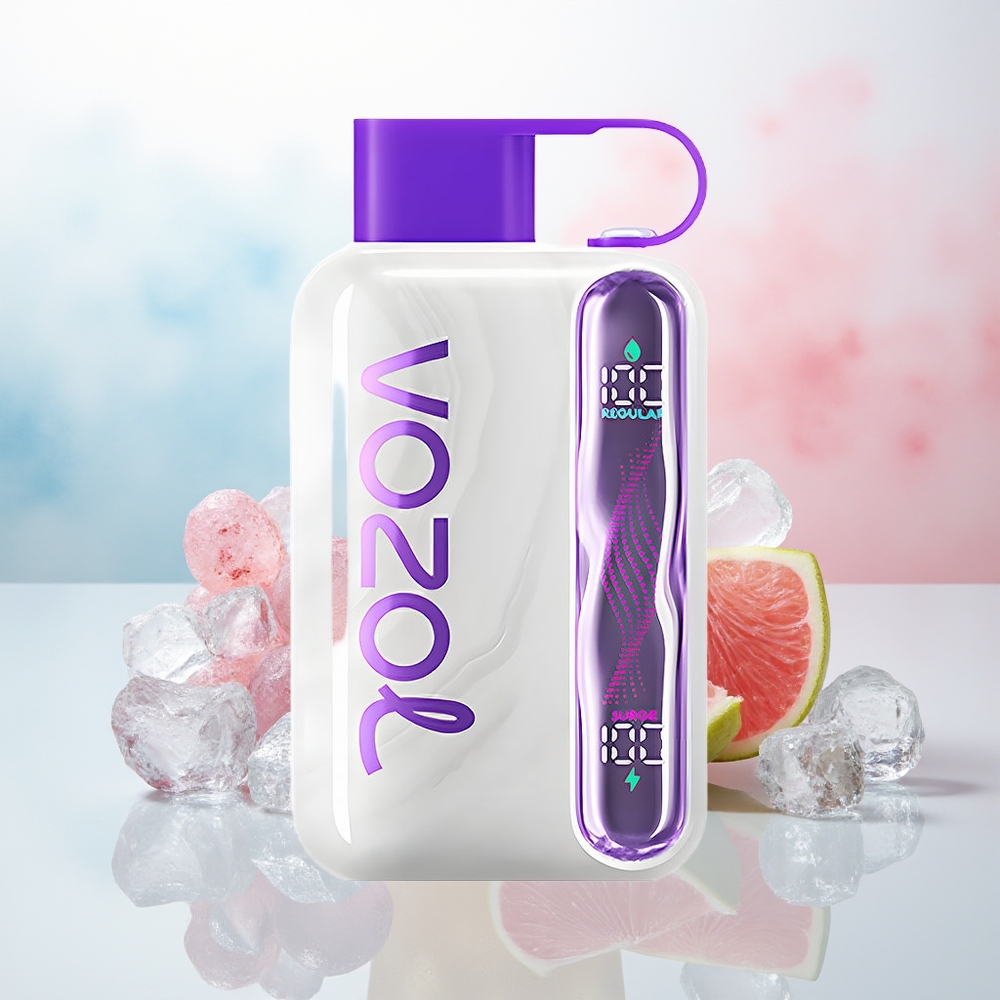 VOZOL STAR 40000 Pūkų 1000mAh Type-C Vynuogių Ledas Didmeninė Lietuva