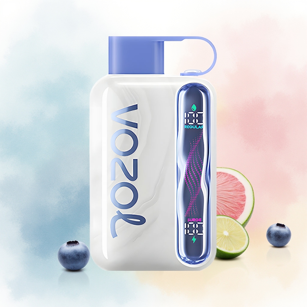 VOZOL STAR 40000 Pūsų 1000mAh Type-C Mėlynųjų Uogų Mėta Wholesale Lithuania