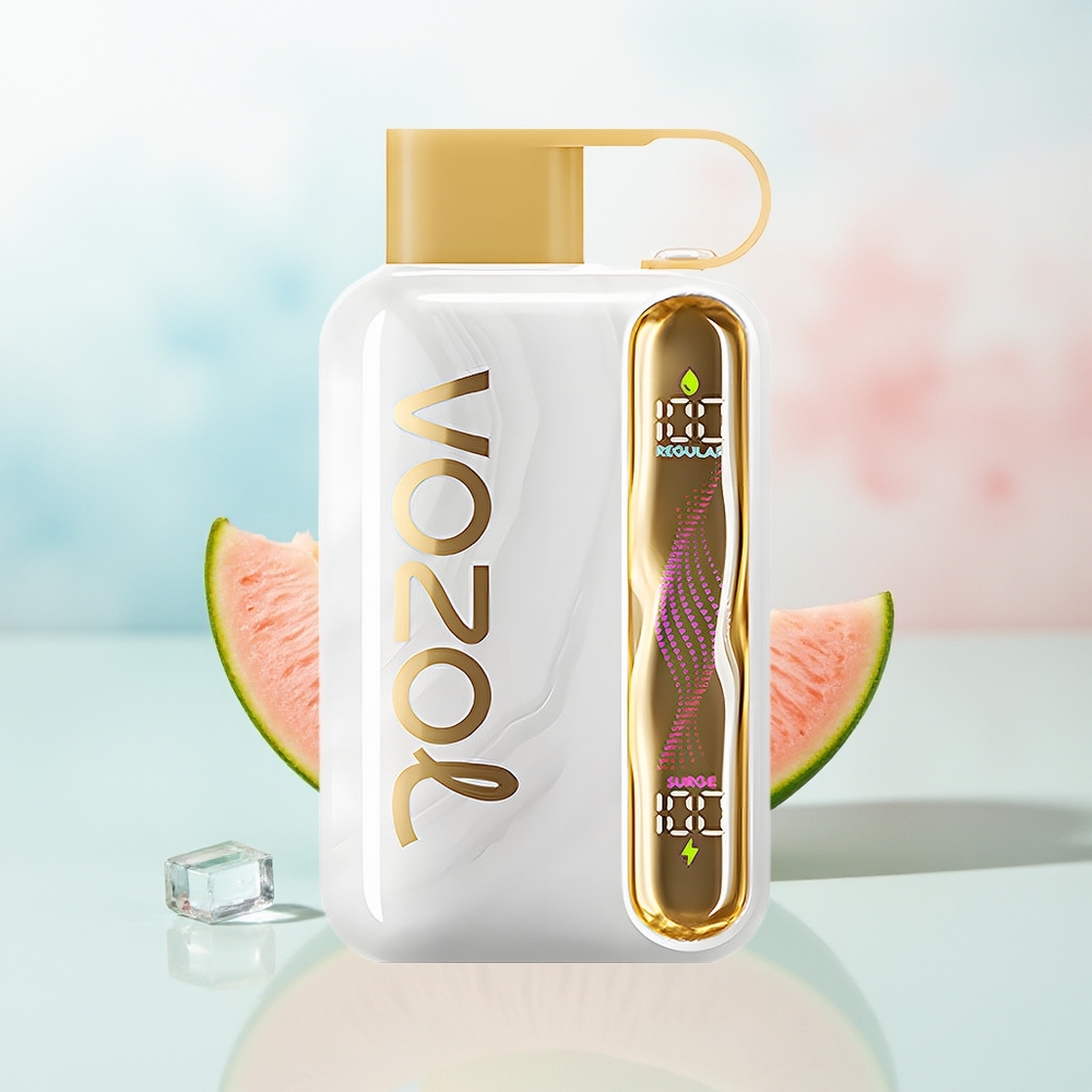 VOZOL STAR 40000 Pūsų 1000mAh Type-C Meliono Ledas Wholesale Lithuania