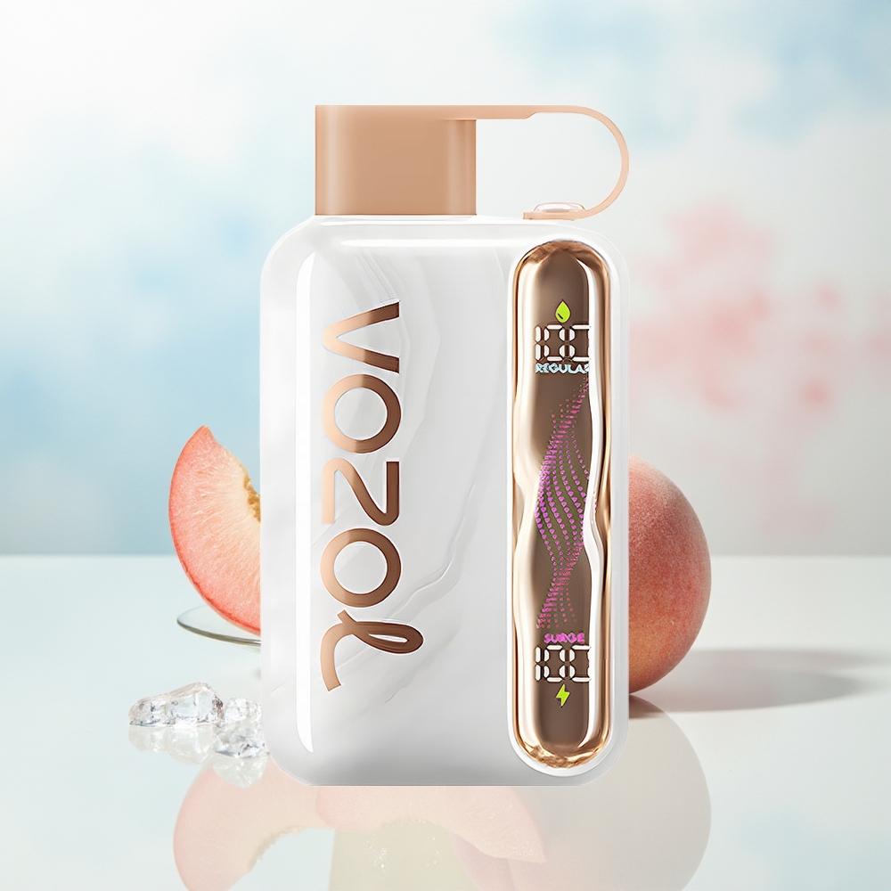 VOZOL STAR 40000 Pūsų 1000mAh Type-C Persikas Ledas Lietuva Didmeninė