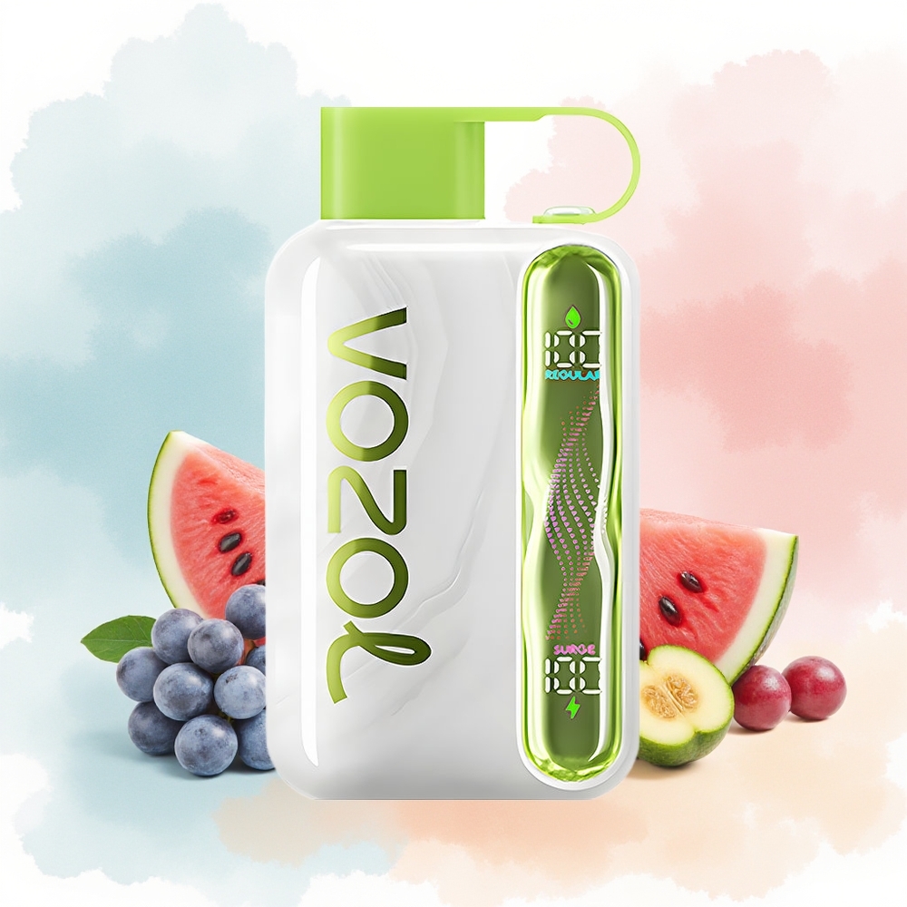 VOZOL STAR 40000 Puffs 1000mAh Type-C Arbūzas Vynuogė Boysenberry Didmeninė Lietuva