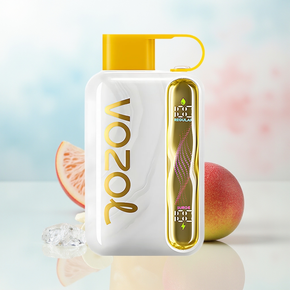 VOZOL STAR 40000 Puffs 1000mAh Type-C Mango Ledas Wholesale Lithuania