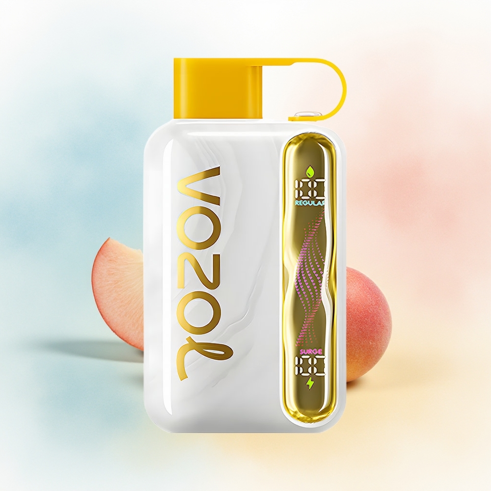 VOZOL STAR 40000 Puffs 1000mAh Type-C Mango Persikas Wholesale Lithuania
