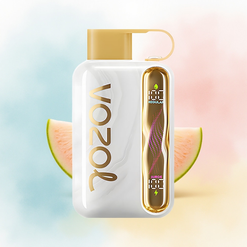 VOZOL STAR 40000 Puffs 1000mAh Type-C Melionų Guma Wholesale Lithuania