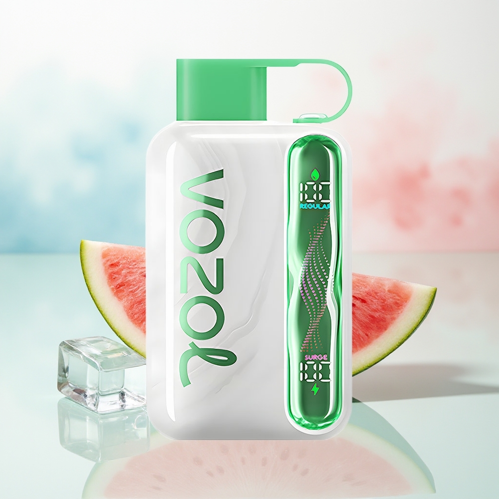 VOZOL STAR 40000 pufų 1000mAh Type-C Arbūzas Ledas Wholesale Lithuania