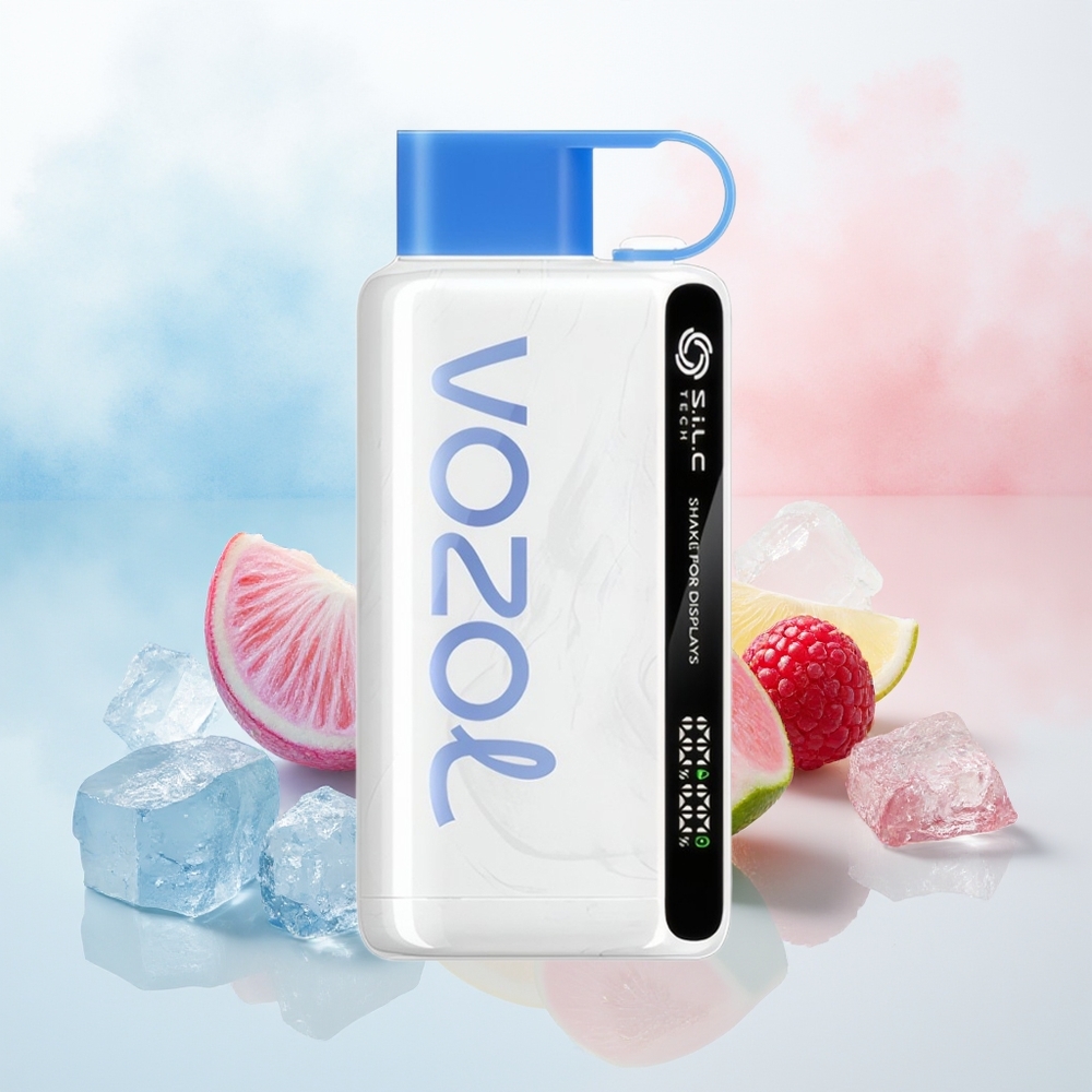 VOZOL STAR 9000/12000 650mAh 0/20/50mg/ml Mėlynųjų Serbentų Ledas Wholesale Lithuania