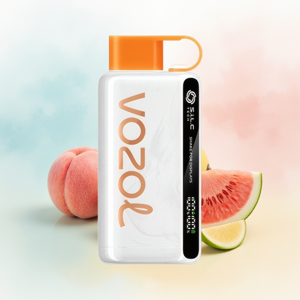 VOZOL STAR 9000/12000 650mAh 0/20/50mg/ml Persikų Mango Arbūzas Wholesale Lithuania