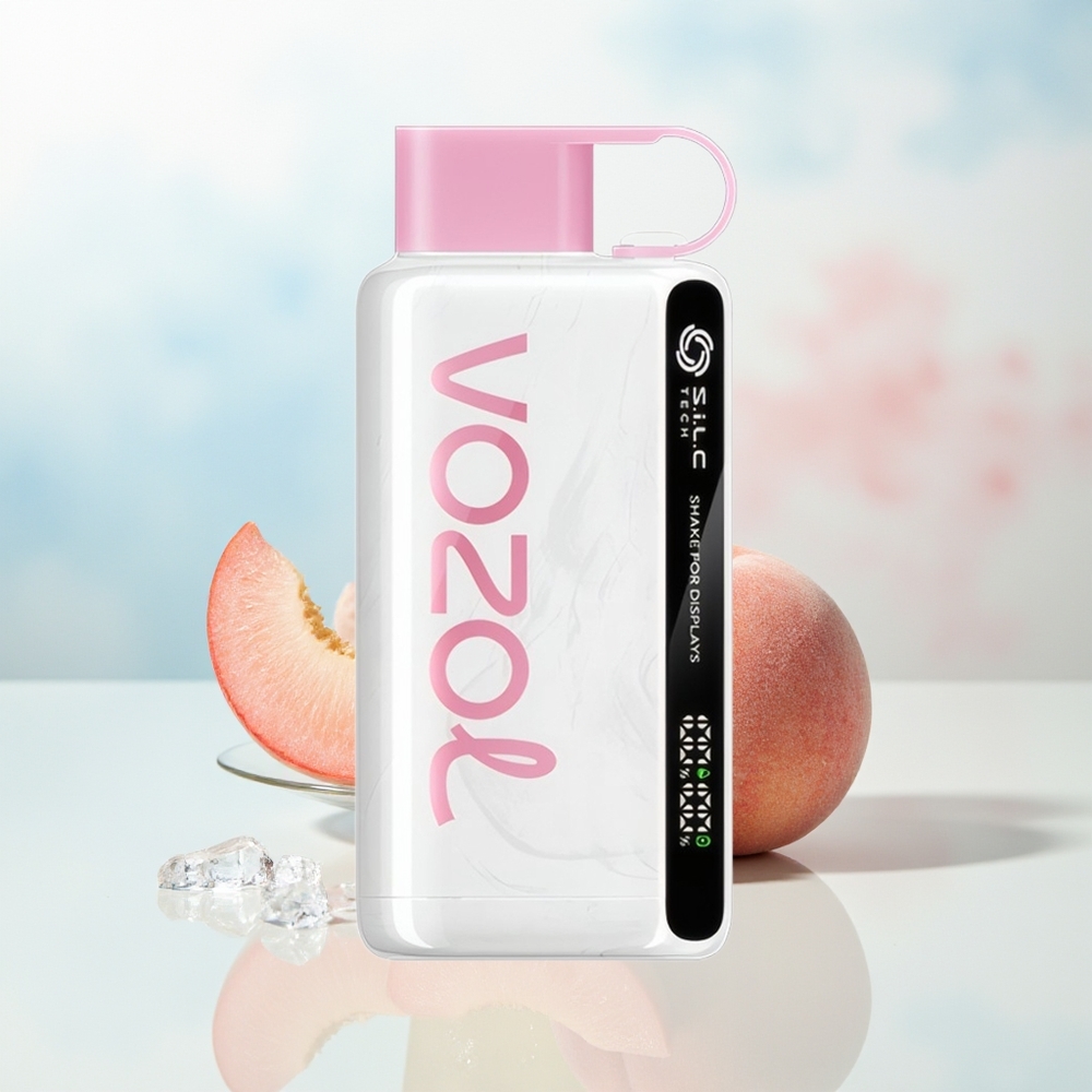 VOZOL STAR 9000/12000 650mAh greičiau įkraunamas persikas su ledu Wholesale Lithuania