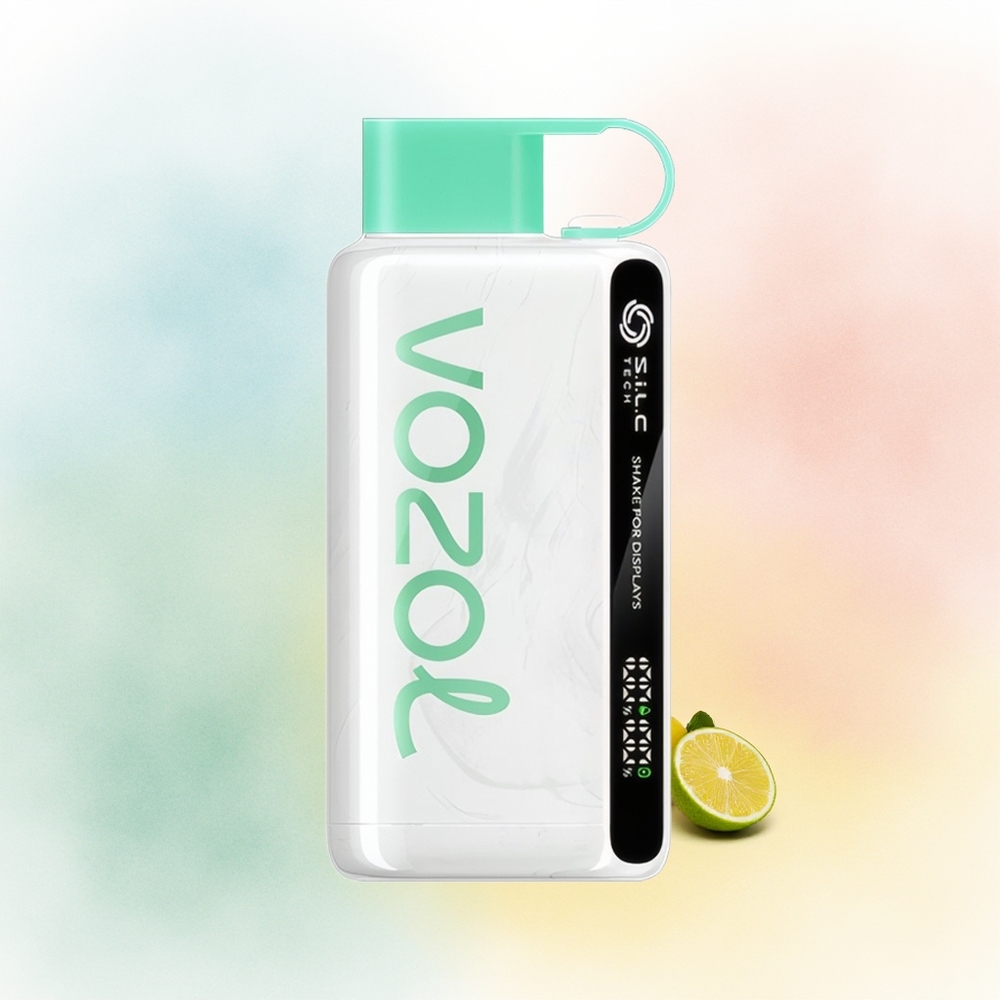 VOZOL STAR 9000/12000 650mAh greito įkrovimo vienkartinė vape citrina mėta Wholesale Lithuania
