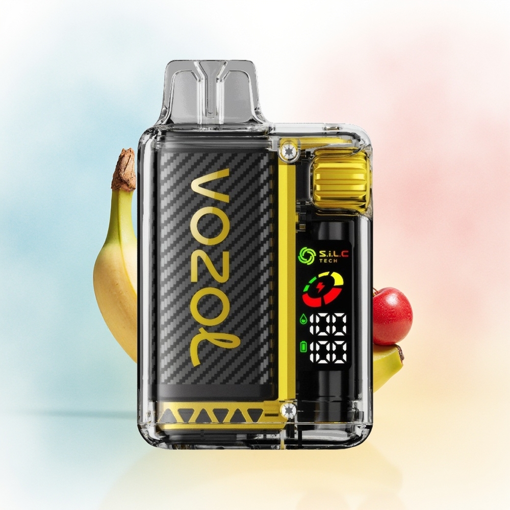 VOZOL Vista 20000 Puffs 650mAh 2% Drago Vaisiai (Dragon Fruit) Bananai Vyšnia Lietuva Didmeninė