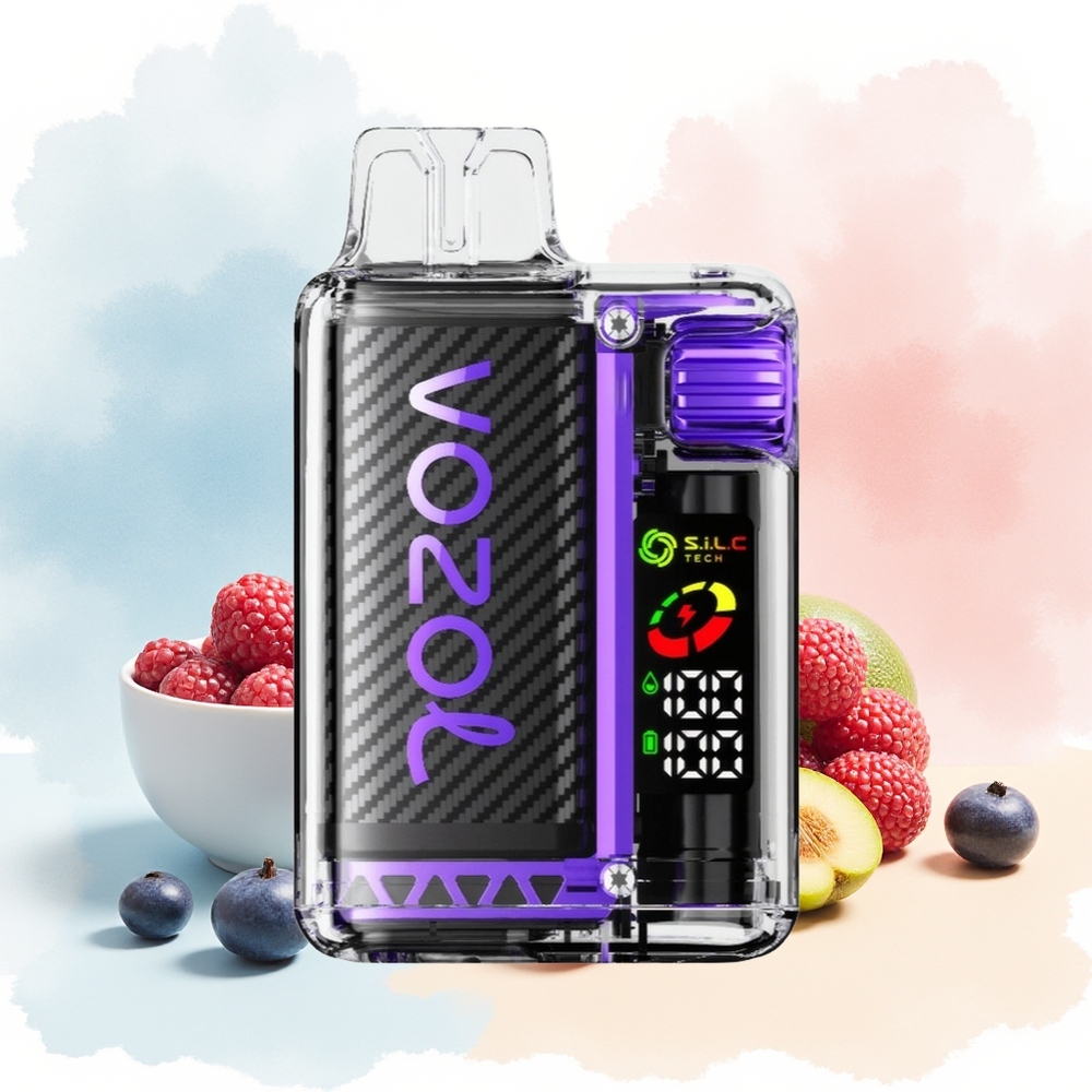 VOZOL Vista 20000 Puffs 650mAh 2% Uogų Mišinys Wholesale Lithuania
