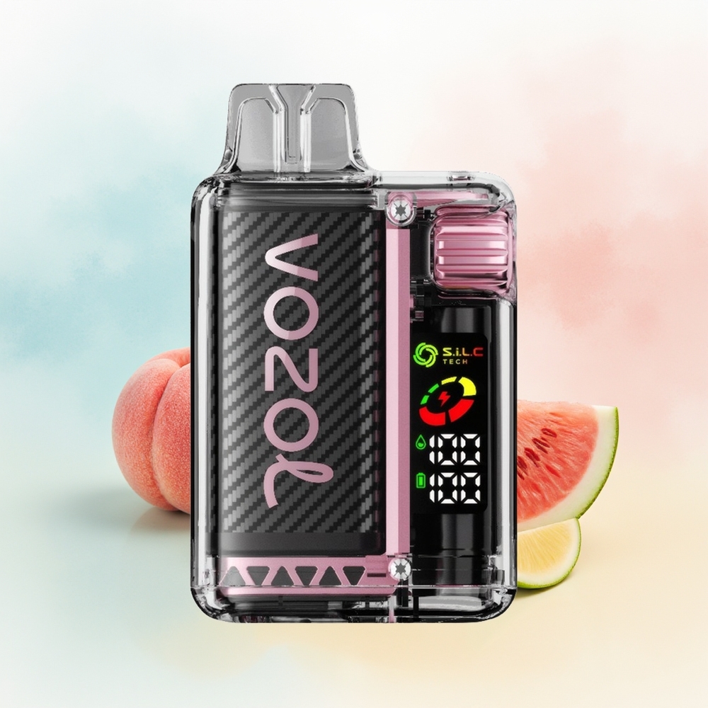 VOZOL Vista 20000 Puffs Rechargeable MTL Persikas Mango Arbūzas Wholesale Lithuania